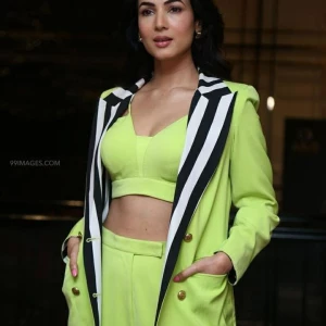 Sonal Chauhan Instagram Leaks (46 Photos) 63906