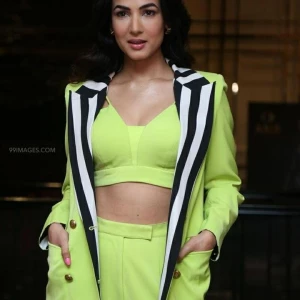 Sonal Chauhan Instagram Leaks (46 Photos) 63910