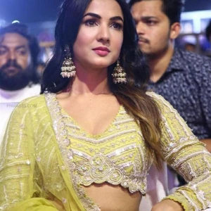 Sonal Chauhan Instagram Leaks (46 Photos) 63913