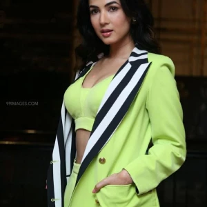 Sonal Chauhan Instagram Leaks (46 Photos) 63921