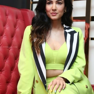 Sonal Chauhan Instagram Leaks (46 Photos) 63926