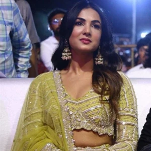 Sonal Chauhan Instagram Leaks (46 Photos) 63929