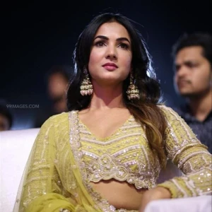 Sonal Chauhan Instagram Leaks (46 Photos) 63934