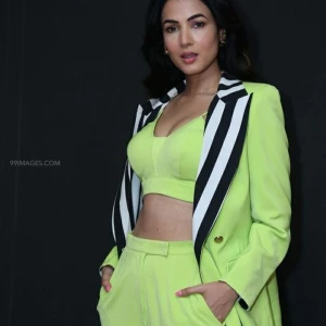 Sonal Chauhan Instagram Leaks (46 Photos) 63935